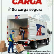 Camiones de carga y mudanza - Img 57842315