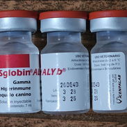 Disglobin - Img 55758875