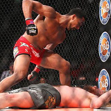 Maestro 53372073 artes marciales mixtas MMA.UFC..Combat Sambo jitjitsu yudo borxeo.kendo.Muay Thai.defensa personal - 8/8
