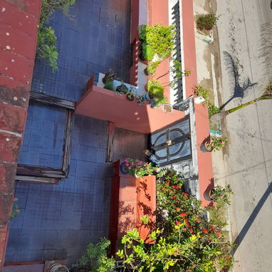 Casa grande en el Vedado ๐ zona d letras - Img 120366545