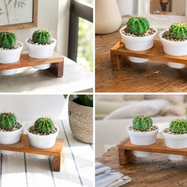 🌵Dale Vida y Buenas Vibras a tu Hogar con este Set de Cactus Decorativos. - Img 125775922