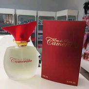 PERFUME CAMERATA - Img 57813231