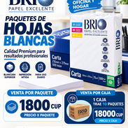 Hojas blancas - Img 57648634