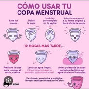 Copitas Menstruales - Img 53838235