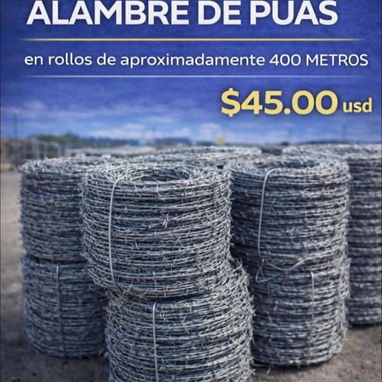 ALAMBRES CON PUAS 400 metros/rollo en bolsas de tejido plástico 45 USD - Img 118746969