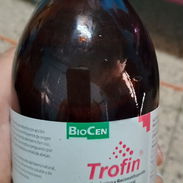 Trofin - Img 56094131
