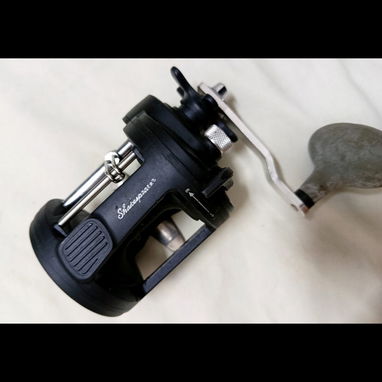 Carretes de Pesca Marcas Profesionales (Reels 🎣🦈) - Img 122510098