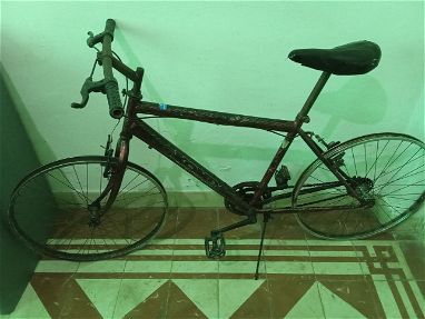 Bicicleta konda - Img main-image-45853545