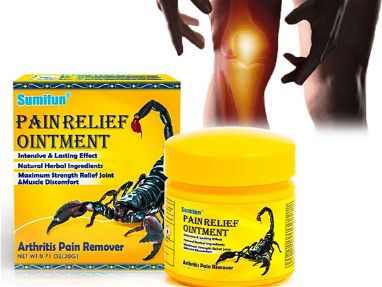 Ungüento para aliviar el dolor de escorpión, pomada, crema para la artritis, yeso para masaje corporal - Img 66560710