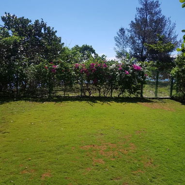 Venta de Casa Rutal con terreno 800m2 y salida al mar Playa Banes 250m euros 53582376 - Img 119331043