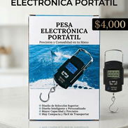 Pesa Digital - Img 57912161