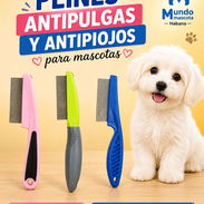 Peines antipulgas, quita piojos, quita liendras - Img 55342585