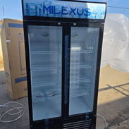 Exhibidora Milexus 20 pies  1000USD  2 meses de garantía   Transporte incluido en municipios céntricos - Img 55728720