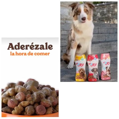 Vitaminas para perros y gatos - 3/10