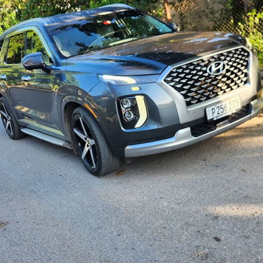 Vendo o negocio, Hyundai palizada, 2021 callygrafhy - 6/6