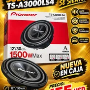Búfer Pionner 12 Pulgadas - Img 57892368