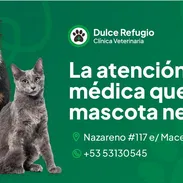 VETERINARIO Y ACCESORIOS PARA MASCOTAS - Img 57619271