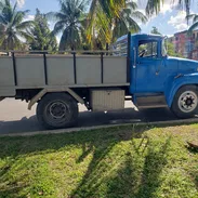 Mudanza Profesional y Segura y Servicio de Paquetería - Img 54320988