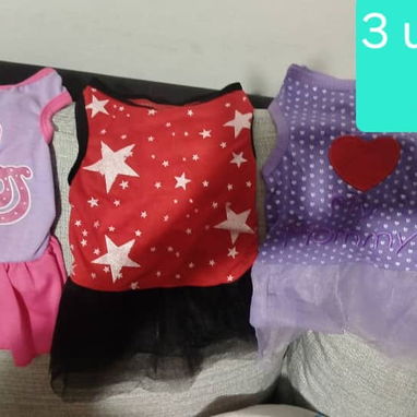 Ropa de perrita - 2/2