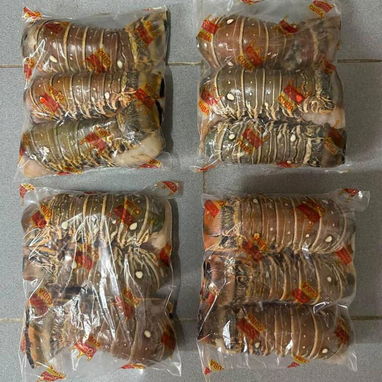 Ventas de pescado y marisco habana - 7/10