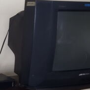 TV Panda y caja digital - Img 45243310
