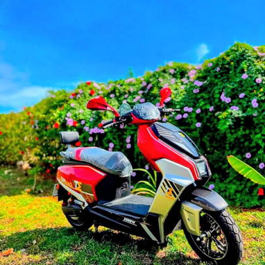 Moto Eléctrica TOPMAQ E4 - 2/3