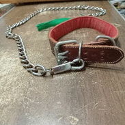 Collar para Perro - Img 56337916