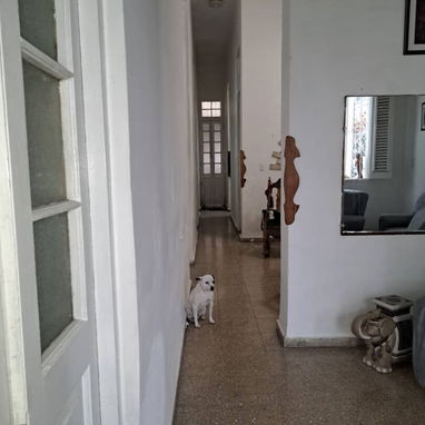 Permuto o vendo casa independiente en Santos Suárez Moderno - Img 125303259