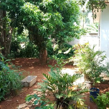 Se vende casa en la entrada del reparto Fontanar. Es la segunda casa en la avenida principal. Miguel 54755950 - 3/10