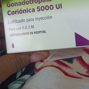 Gonadotrópina Coriónica 5000 UI 8000 cup - Img 54300681