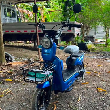 VENDO PATINETA/BICIMOTO ELECTRICA ORIS [EM] - Img 127083824