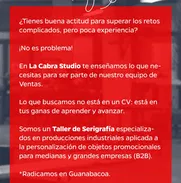 Buscamos gestor de ventas ( comercial ) - Img 50090109