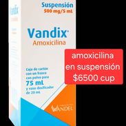 Amoxicilina en suspensión - Img 56254953