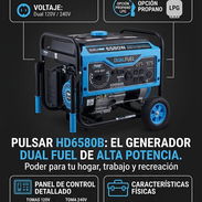 Planta eléctrica Pulsar Dual Fuel - Img 57548602