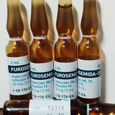 Gravinol, ácido tranexamico, Furosemida, Diazepam, Fenitoína, metoclopramida - Img 126577356