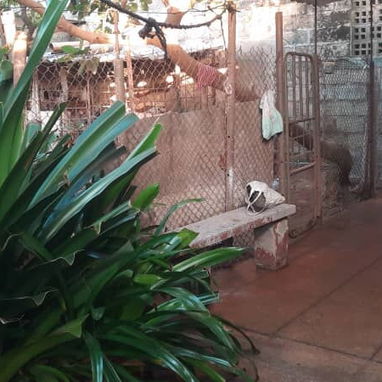 Casas en venta en Alquízar - 7/10