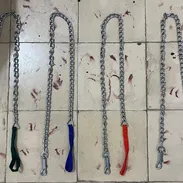 Correas para tu perro! - Img 56370663