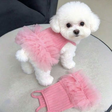 Ropa para perros - 3/10