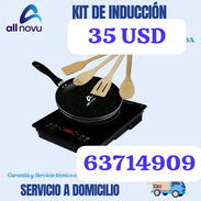 Kit de induccion - Img 53656487