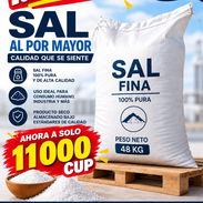 ‼️Sacos de Sal Fina de 48 kg / VENTA MAYORISTA (CM)‼️ - Img 57316943