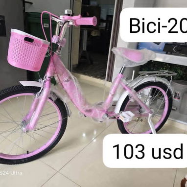 Bicicleta Niágara 20 - 2/2