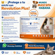 Revolution Plus para eliminar parásitos externos e internos en gatos - Img 55459948