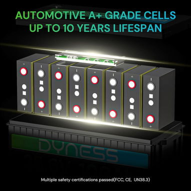Batería LiFePO4 24V 100Ah (2560Wh) Dyness con BMS 100A - 4/5