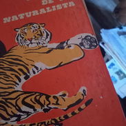 Relatos de un naturalista - Img 56117314