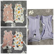 Ropa de Mascotas Pequeñas - Img 58341083