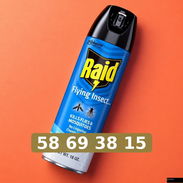 Raid mosquito - Img 57496421