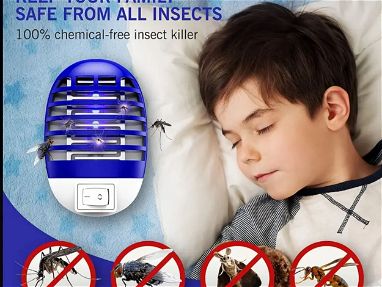Tiene mosquitos, moscas, insectos o plagas en su casa! Soy su solució!! - Img main-image-45085801