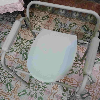 Silla sanitaria móvil ajustable - Img 121865667