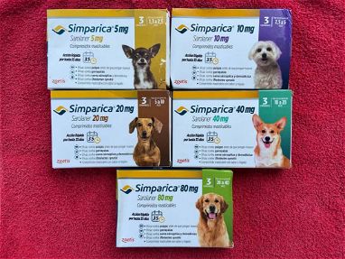 Vendo pastillas desparasitantes de perros - Img main-image