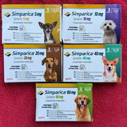 Vendo pastillas desparasitantes de perros - Img 45417427